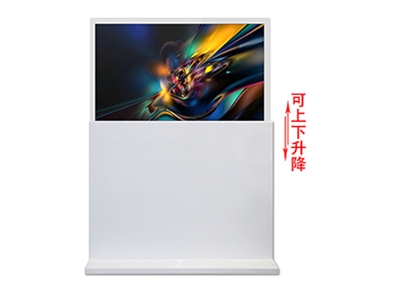 雙面--立式--升降